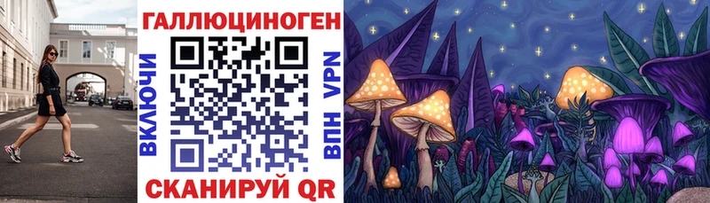 даркнет сайт  Реж  блэк спрут   Галлюциногенные грибы GOLDEN TEACHER 